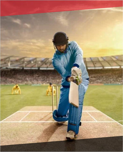 A wide collection of cricket bats, helmets, balls, leg guards, thigh guards, elbows, etc.