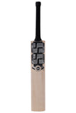 SS Premium Silver Kashmir Willow Cricket Bat