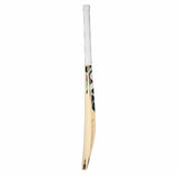 SG RSD Spark Cricket Bat Kashmir Willow - Setsons.in