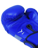 Invincible Amateur Kids Training Gloves (BLUE)