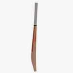 SS Retro Stunner Cricket Bat Kashmir Willow - Setsons.in