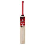 SS SKY Stunner Cricket Bat English Willow