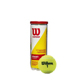 Wilson Championship Lawn Tennis Ball (12 Cans)