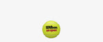 Wilson US Open Lawn Tennis Ball (1 Can)