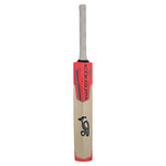 Kookaburra Rapid Pro 20 Cricket Bat Kashmir Willow