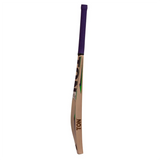SS TON Glory Cricket Bat English Willow - Setsons.in