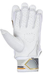 SG HP LITE Cricket Batting Gloves - Setsons.in