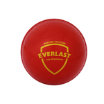 SG Everlast synthetic weatherproof polyurethane Cricket Ball (Red) - Setsons.in