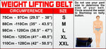 USI Universal Weight Lifting Belt 6 inch Padded