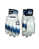 SS Academy Cricket Batting Gloves - Setsons.in