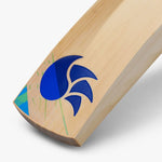DSC BLU 111 Cricket Bat English Willow