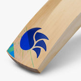 DSC BLU 111 Cricket Bat English Willow